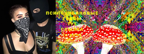 твердый Алексеевка