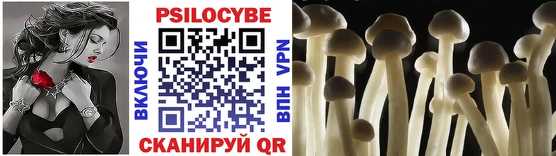 Псилоцибиновые грибы Psilocybine cubensis Яровое